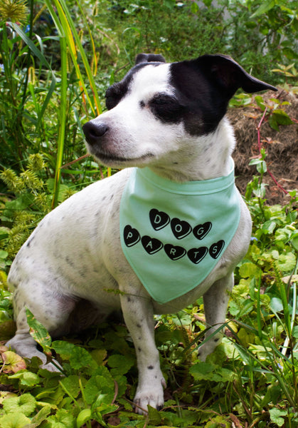 Aqua Dog Parts Courtney Love Dog Bandana