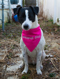 Bikini (Barkini) Kill Dog Bandana Pink