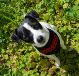 Barkstreet USA Dog Bandana Black