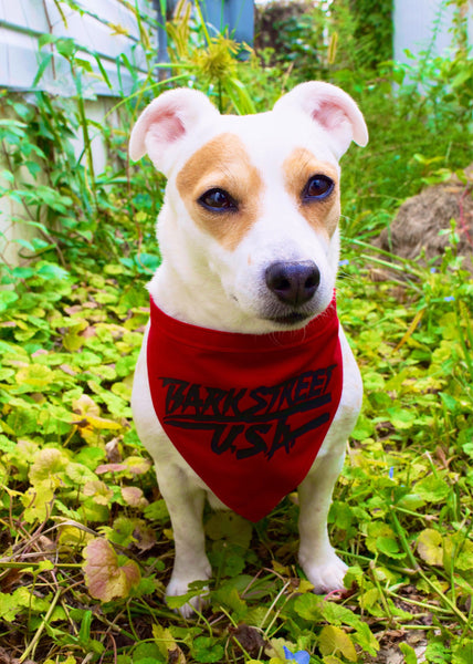 Barkstreet USA Dog Bandana Red