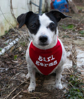 Girl Germs Dog Bandana Red