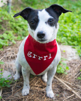 Riot Grrrl Pet Bandana Red