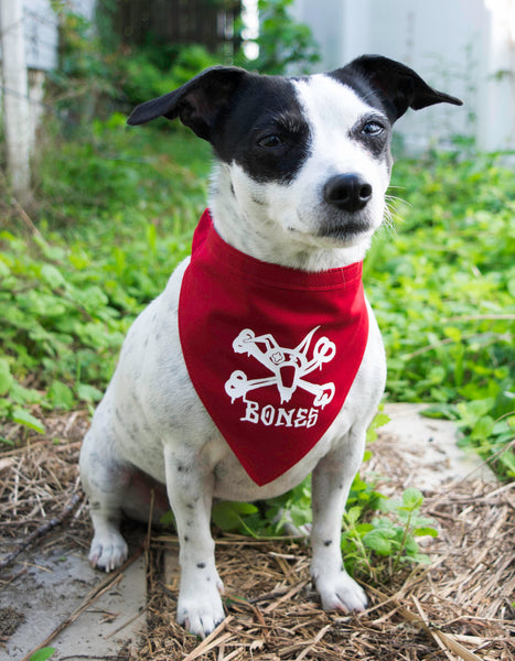 Vato Jack Rat Skull Dog Bandana Red