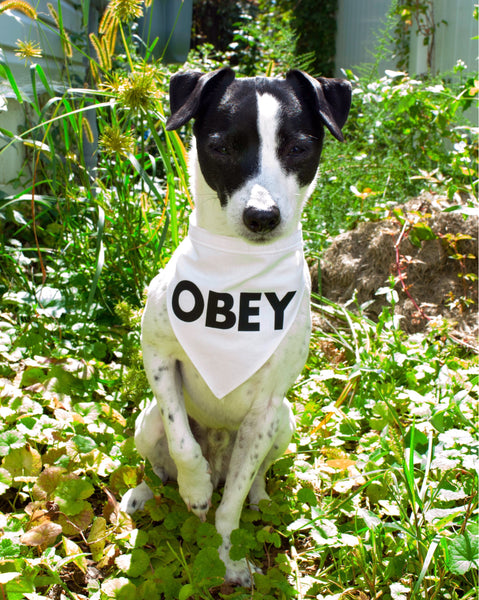 They Live OBEY Dog Bandana