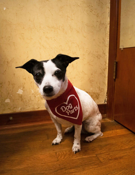 Dog Parts Live Through This Dog Bandana