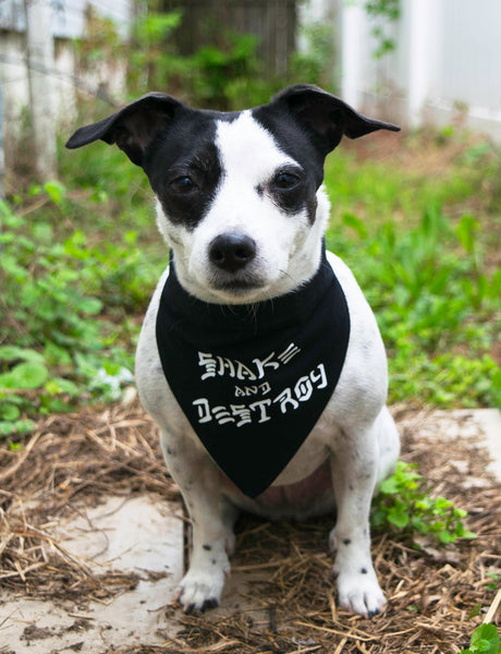 Shake and Destroy Dog Bandana Black