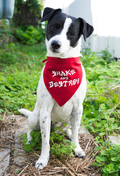 Shake and Destroy Dog Bandana Red