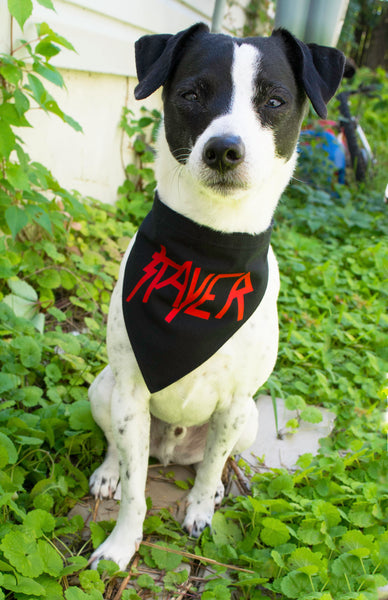 Stayer Dog Bandana